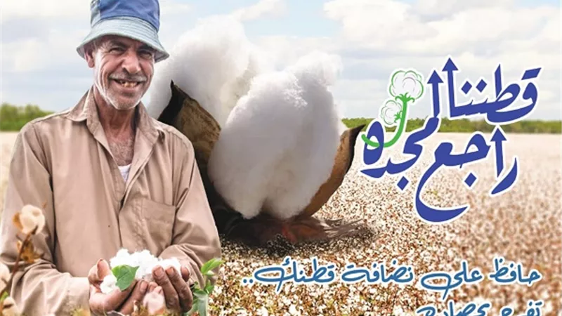 قطاع الاعمال: بيع 1.2 مليون قنطار بـ6.2 مليار جنيه من خلال المزادات في 14 محافظة