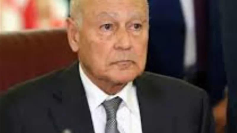 أبو الغيط يُجري اتصالاً مع وزير خارجية الإمارات