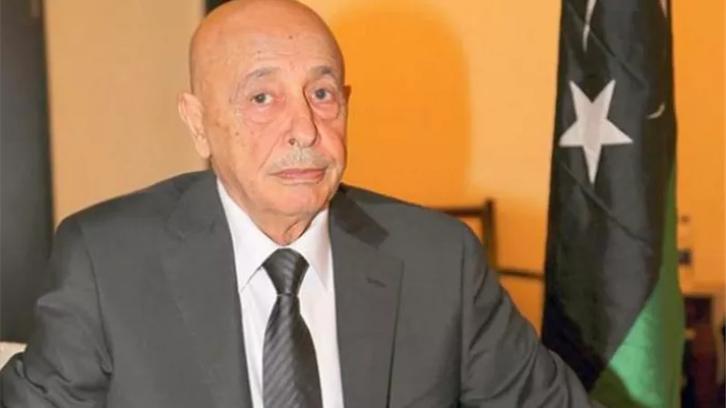 رئيس النواب الليبى يوجه لجنة خارطة الطريق لتحديد موعد نهائي للانتخابات