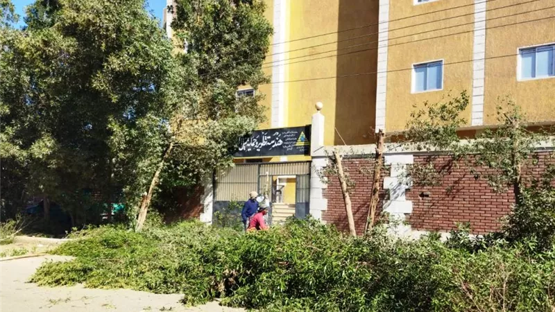 رفع 40 طن تراكمات بكلابشة وتنفيذ أعمال تهذيب الأشجار بالسباعية باسوان