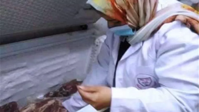 بيطري الشرقية يُحرر 3 محاضر مخالفة ويضبط 11طنا و620 كجم هياكل و مفروم هياكل دواجن