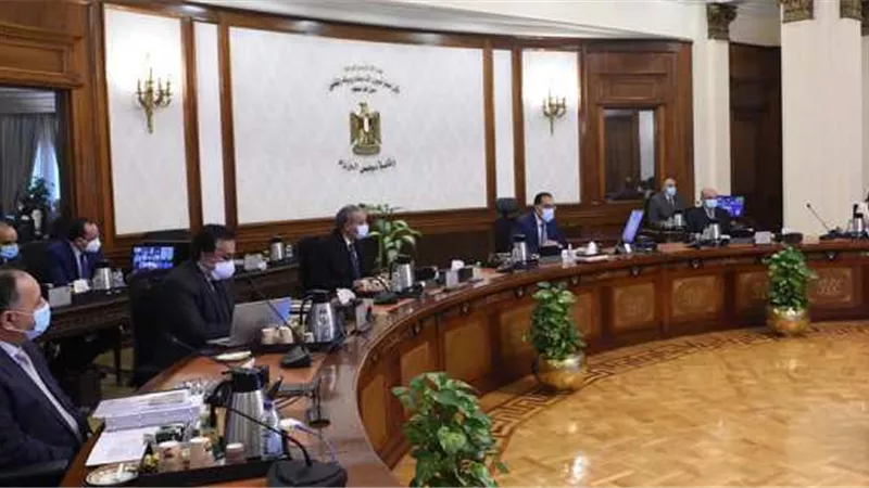 الحكومة توافق على قانون بإعادة تنظيم محطة الزهراء لتربية الخيول العربية الأصيلة