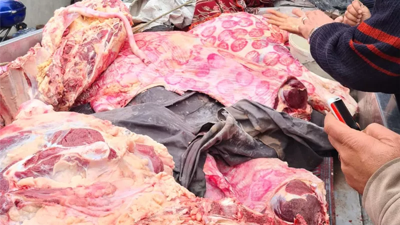 حملات مفاجئة على المحال والأسواق بالاسكندريه