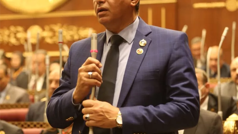 أمين حماة الوطن 'يشيد بقرارات الرئيس برفع الحد الأدنى للأجور ويؤكد انحيازة لمحدوي الدخل