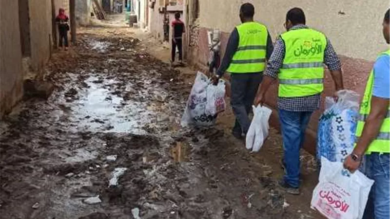 جمعية الأورمان بالتعاون مع محافظة الشرقية تنتهي من توزيع لحوم ومواد غذائية على 7 ألاف أسرة