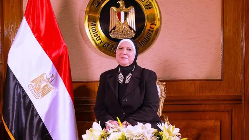 نيفين جامع: تعزيز التنمية الصناعية والاستثمارية والتبادل التجارى بين مصر وكوريا الجنوبية