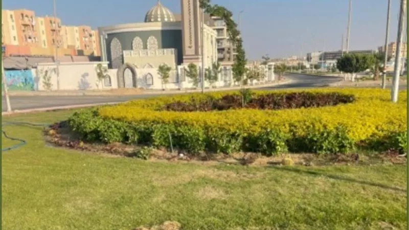 تعرف على أحدث مشروعات الزراعة فى مدينة المنيا الجديدة.. بالصور