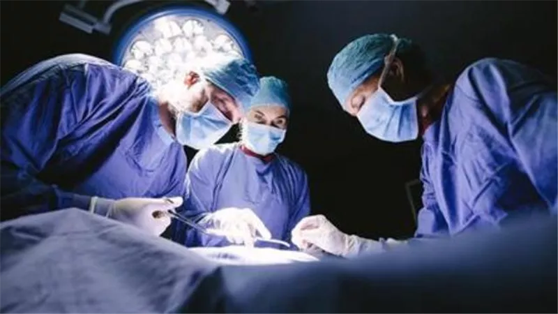بعد القلب.. نجاح زرع كليتي خنزير في جسم إنسان