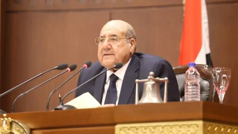 رئيس مجلس الشيوخ يهنئ وزير الداخلية بمناسبة الاحتفال بعيد الشرطة