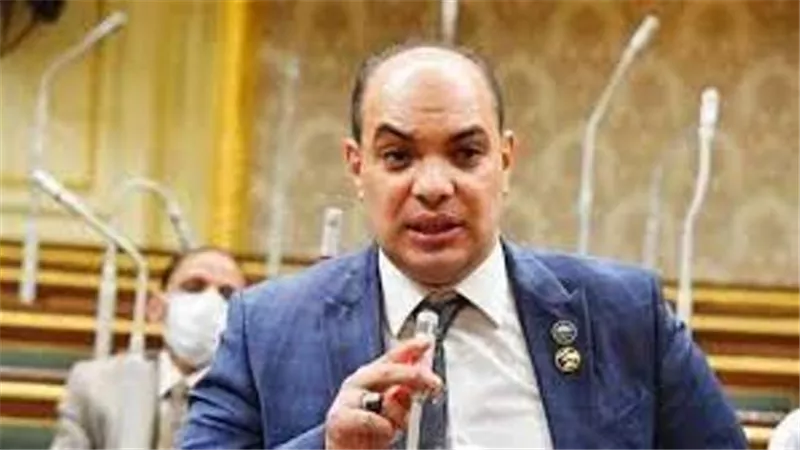 برلماني: 25 يناير يوم الوفاء لشهداء الواجب ورمزاً للوطنية و الدفاع عن الارض