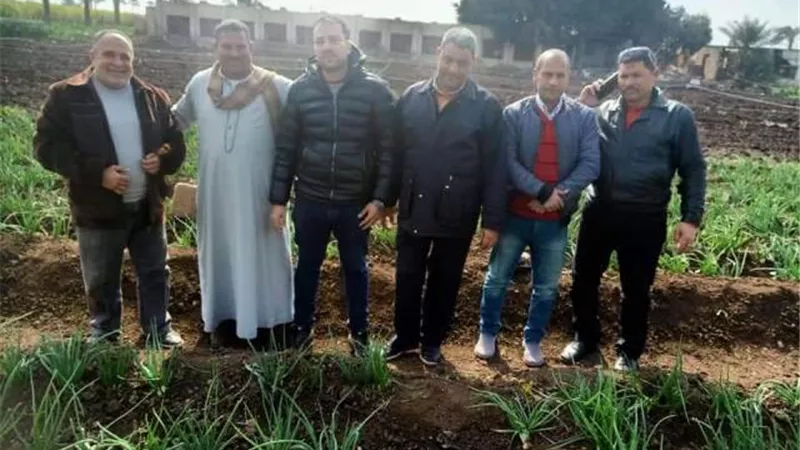 نشاط موسع للارشاد الزراعى فى بنى سويف.. بالصور