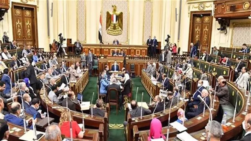 غداًُ.. مجلس النواب يصوت نهائيًا على قانون التخطيط العام للدولة
