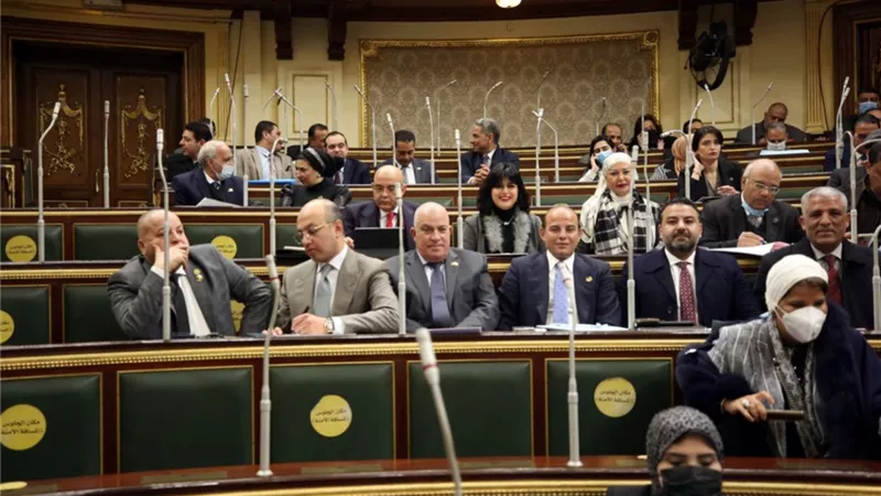 نائب يحذر من غياب صندوق إنقاذ آثار النوبة: يؤدي للإهمال