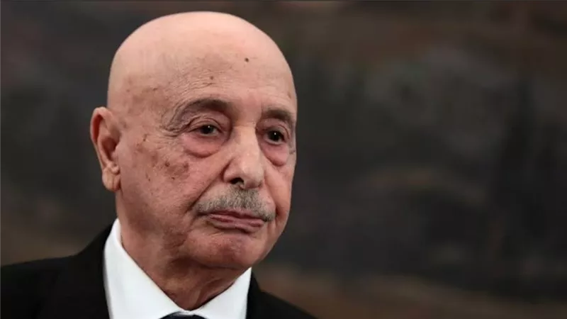 عقيلة صالح يبحث مع المستشارة الأممية مستجدات العملية الانتخابية