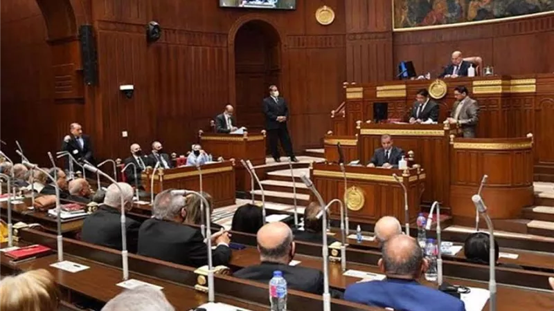 صحة الشيوخ تستكمل مناقشة القضية السكانية