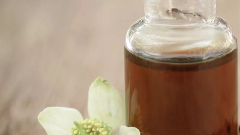 تخلص من حب الشباب والاكزيما والصدفية عن طريق هذا الزيت الطبيعي