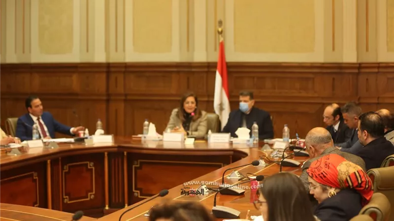 وزيرة التخطط: مصر لم تشهد أي تضخم بسبب أزمة كورونا