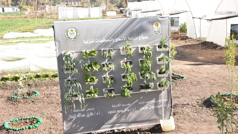 رئيس جامعة أسيوط يفتتح مجمع صوب كلية الزراعة