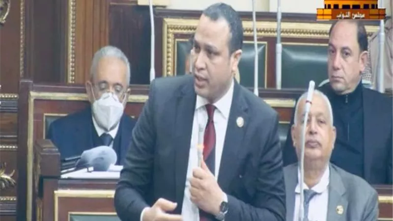 النائب محمد طلبة:إنشاء موزع للكهرباء بقرية أبوخليفة وضواحيها