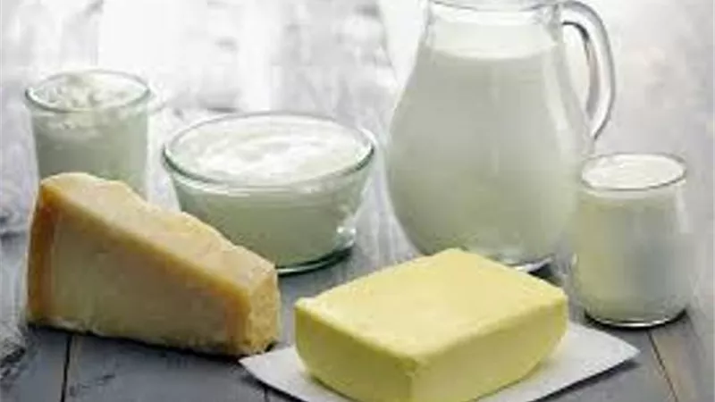 أسعار الألبان اليوم الجمعة 28-1-2022