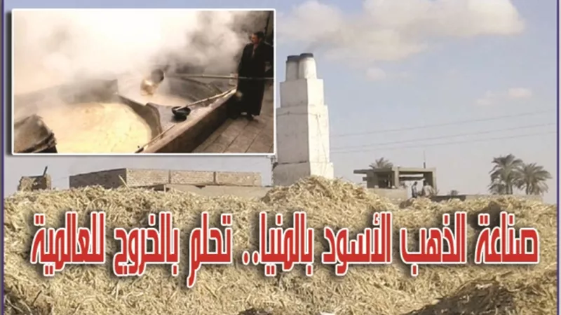 العسل الأسود ثروة منسية.. يعاني الاحتكار والبدائية