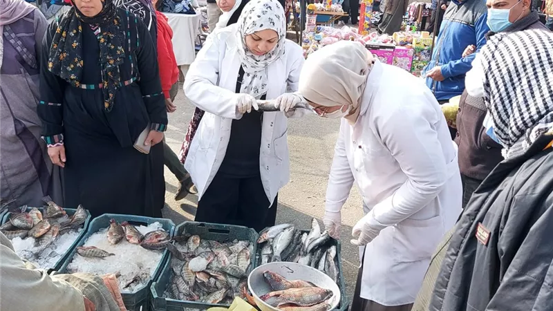 ضبط قرابة ٤٠٠ كيلوا اسماك ولحوم وخضر فاسدة فى حملات رقابية على أسواق الجمعة بالعاشر من رمضان