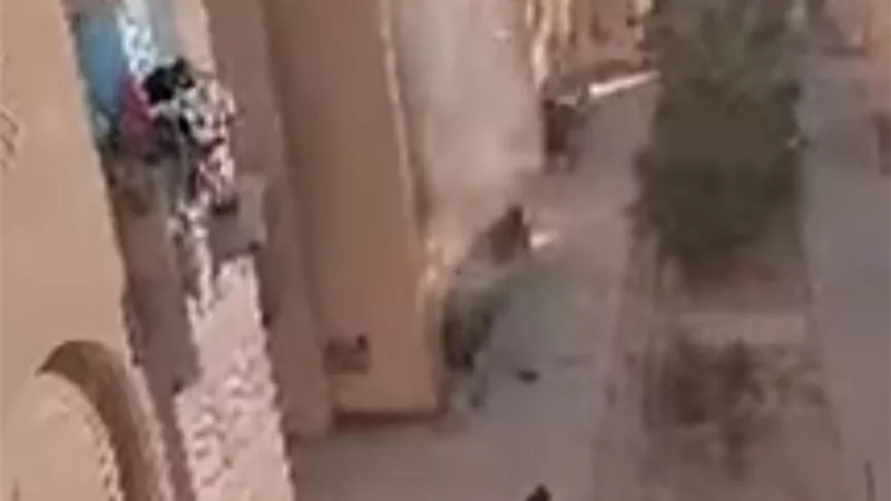 انفجار أسطوانة بوتاجاز بالمنيا دون وقوع خسائر بشرية