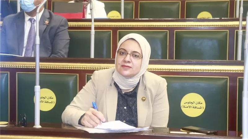 النائبة ريهام عبدالنبي: مبادرة حياة كريمة نجحت في تحقيق انجازات كبيرة