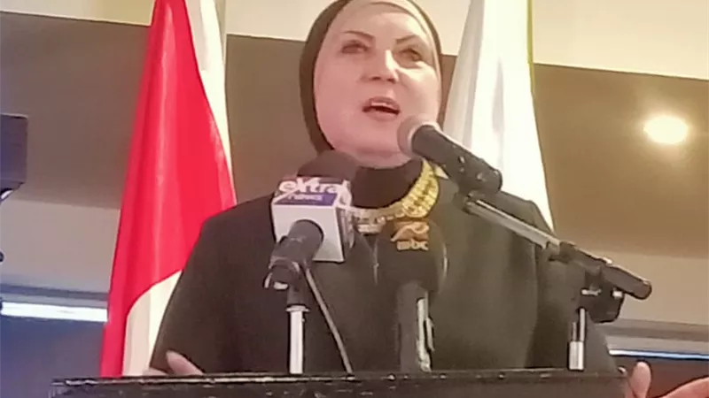 نيفين جامع : لو حجم أعمالك 250 ألف جنيه قدم إقرارك الضريبيى وعفا الله عما سلف