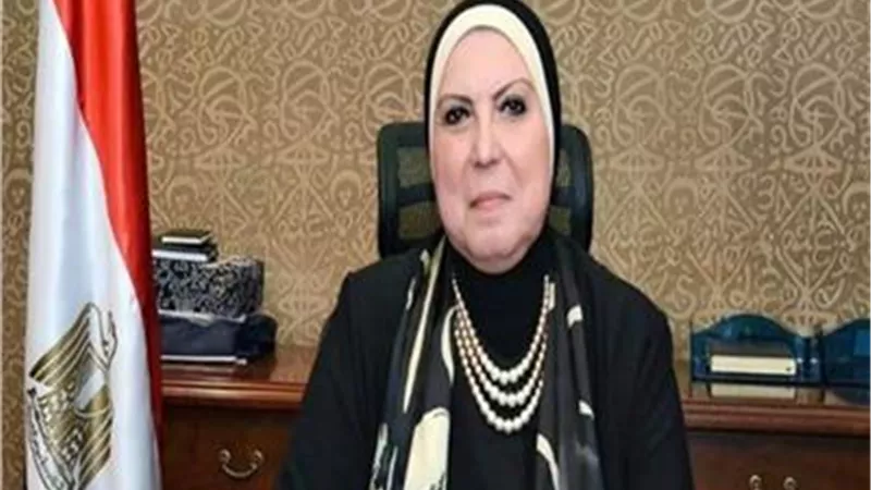 وزيرة الصناعة تدعو أصحاب المشروعات المتوسطة والصغيرة وغير الرسمية للاستفادة من تيسيرات القانون الجديد