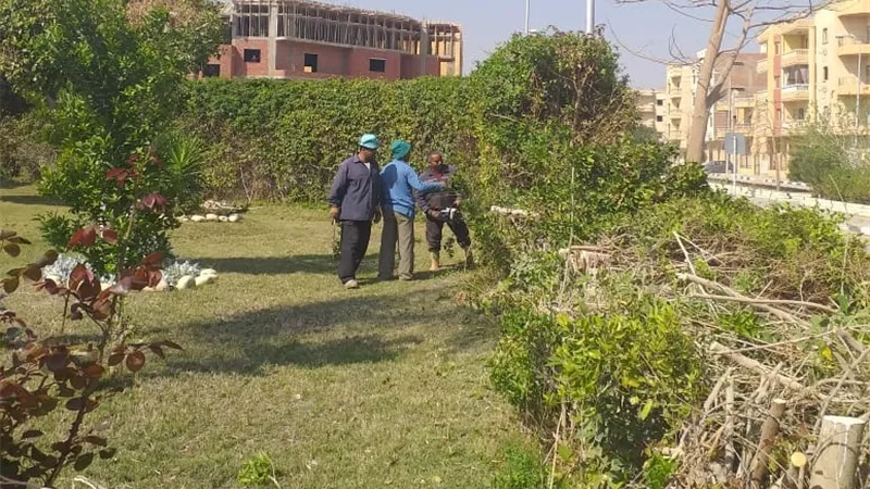 جهازالشروق يدعو أصحاب قطع الأراضى لسرعة إزالة الأسوار الشجرية