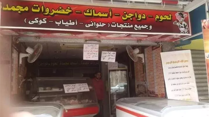 بيطرى بورسعيد:زيارة إرشادية لتوعية محلات المجمدات ببورفؤاد..صور