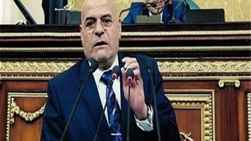 النائب فايز بركات: مبادرة الرئيس للكشف عن سرطان الثدي يعكس اهتمامه وتقديره لسيدات مصر