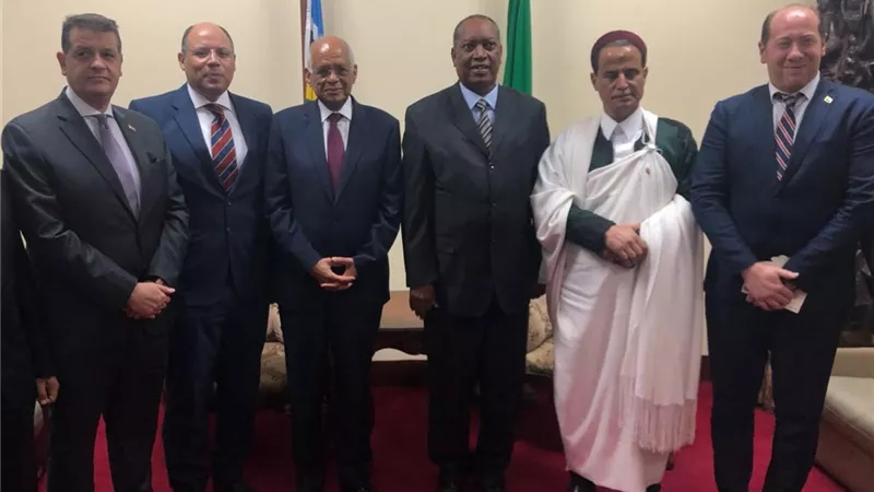 د. على عبد العال يلتقى وزير خارجية جمهورية تنزانيا المتحدة
