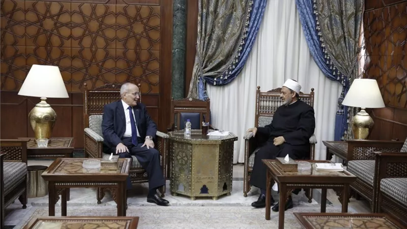 الإمام الأكبر ووزير الإنتاج الحربي يبحثان سبل تعزيز التعاون المشترك