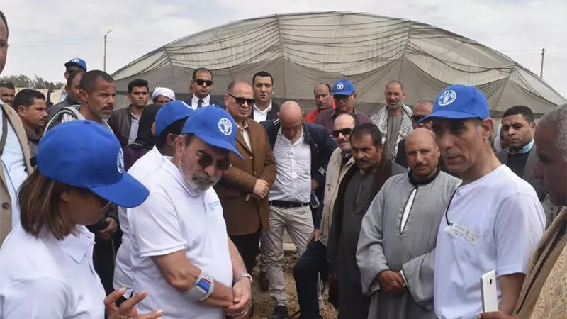 محافظ الفيوم ومدير منظمة الفاو يتفقدان مشروع الممارسات الزراعية الجديدة بمركز يوسف الصديق