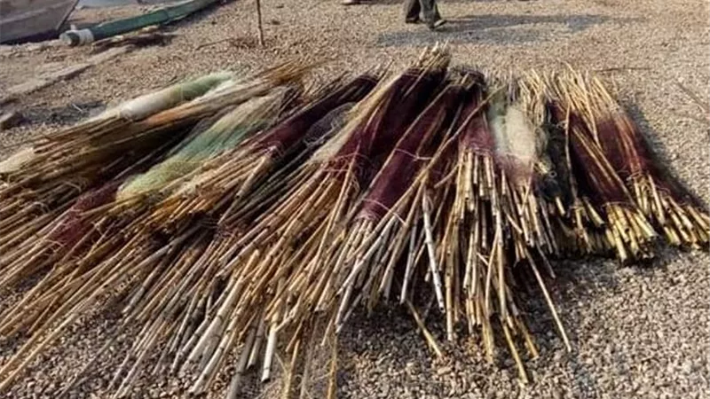 المسطحات المائية بكفر الشيخ تشن حملة في بحيرة البرلس
