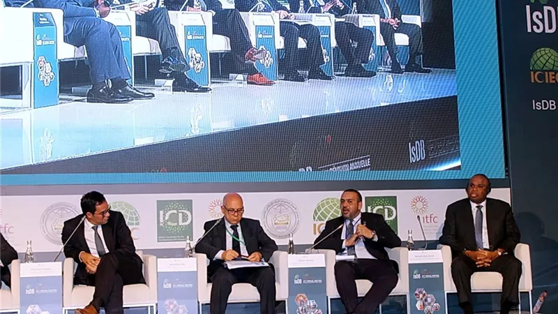 وزارة الاستثمار تعرض جهود مصر لإشراك القطاع الخاص في تنمية إفريقيا