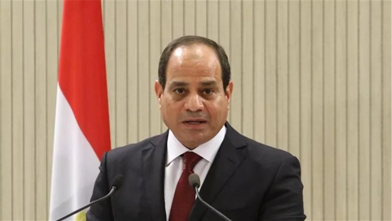 السيسى يوجه بالتطوير والتحديث المستمر للتعليم العالى فى مصر