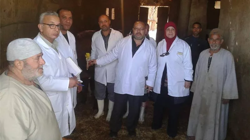 تحصين 35 ألف رأس ماشية ضد مرض الجلد العقدى والجدرى بالمنوفية