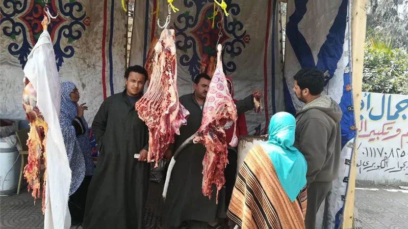 وفد الفيوم يفتتح منافذ لبيع اللحوم البلدى بـ 85 جنيه للكيلو
