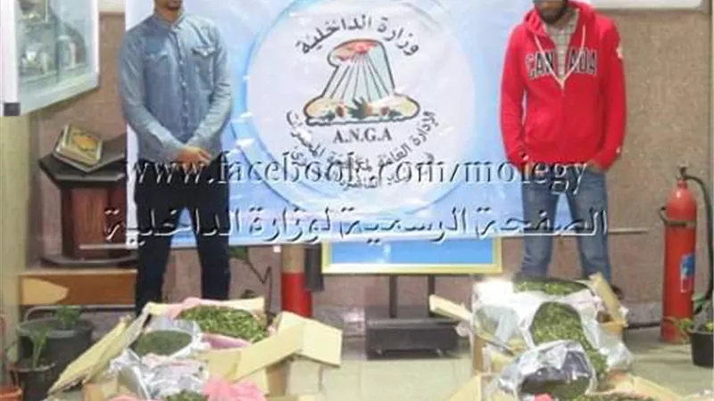 ضربة ثانية ضد تجار الموت..ضبط 295 كيلو ''القات'' المخدر قبل دخولها البلاد