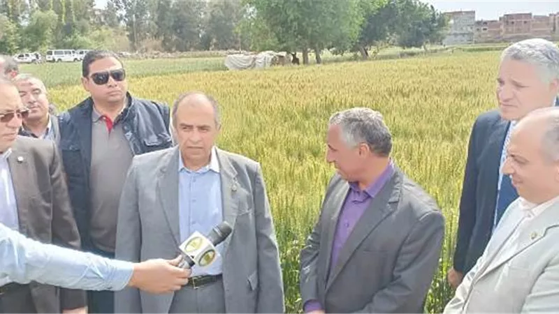 أبوستيت يطمئن على محصولي القمح والبصل بالشرقية
