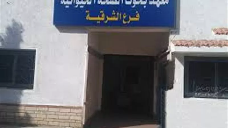 أبوستيت: معهد بحوث صحة الحيوان بالزقازيق يقدم خدماته للمواطنين على مدار الساعة