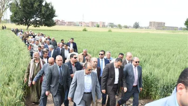 وزير الرزاعة يوضح حقيقة إصابة القمح بالصدأ الأصفر .. فيديو