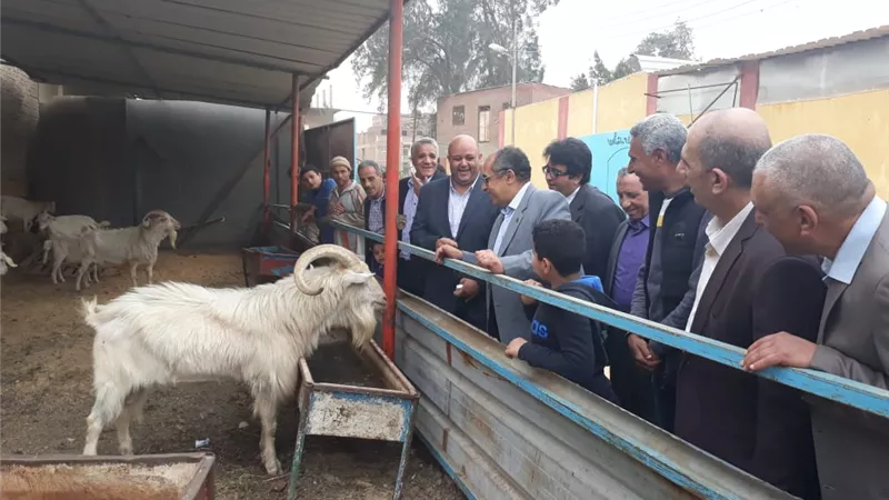 وزير الزراعة يتفقد مزرعة ومصنع للإنتاج الحيواني المتكامل