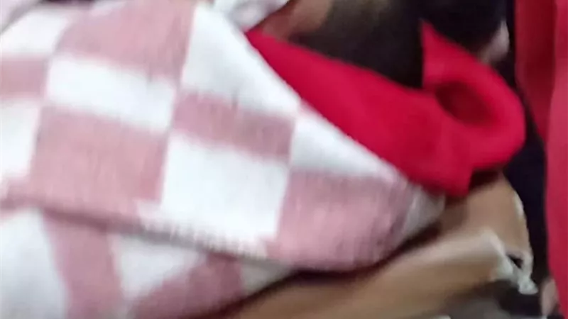 طالب فقد عينه الشمال نتيجة ارتطامه بسيخ حديد بمدرسة على مبارك بطنطا