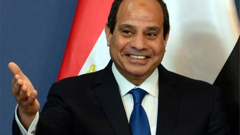 رئيس اللجنة الوطنية: مصر ترسى دعائم الحوكمة الجيدة فى افريقيا