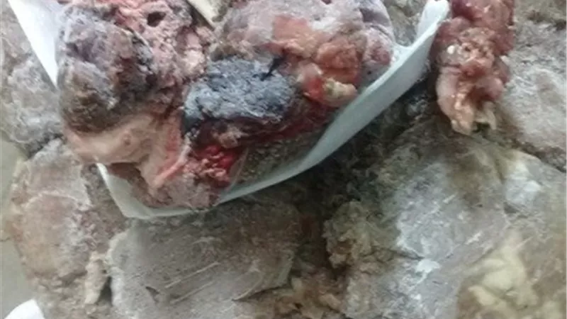 ضبط لحوم ودواجن فاسدة وسجائر مهربة بالاسماعيلية