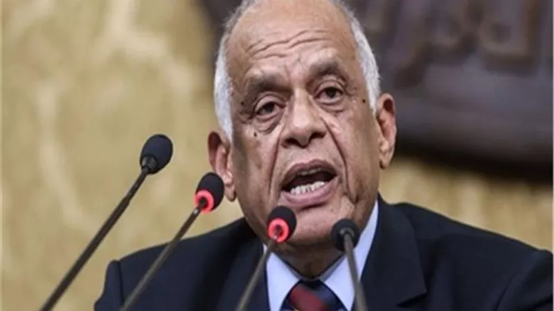 عبد العال: لايمكن منح اختصاصات كاملة لمجلس الشيوخ الا بإعداد دستور جديد